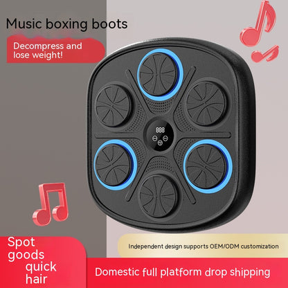 Music Boxing Target Training Wall Equipment