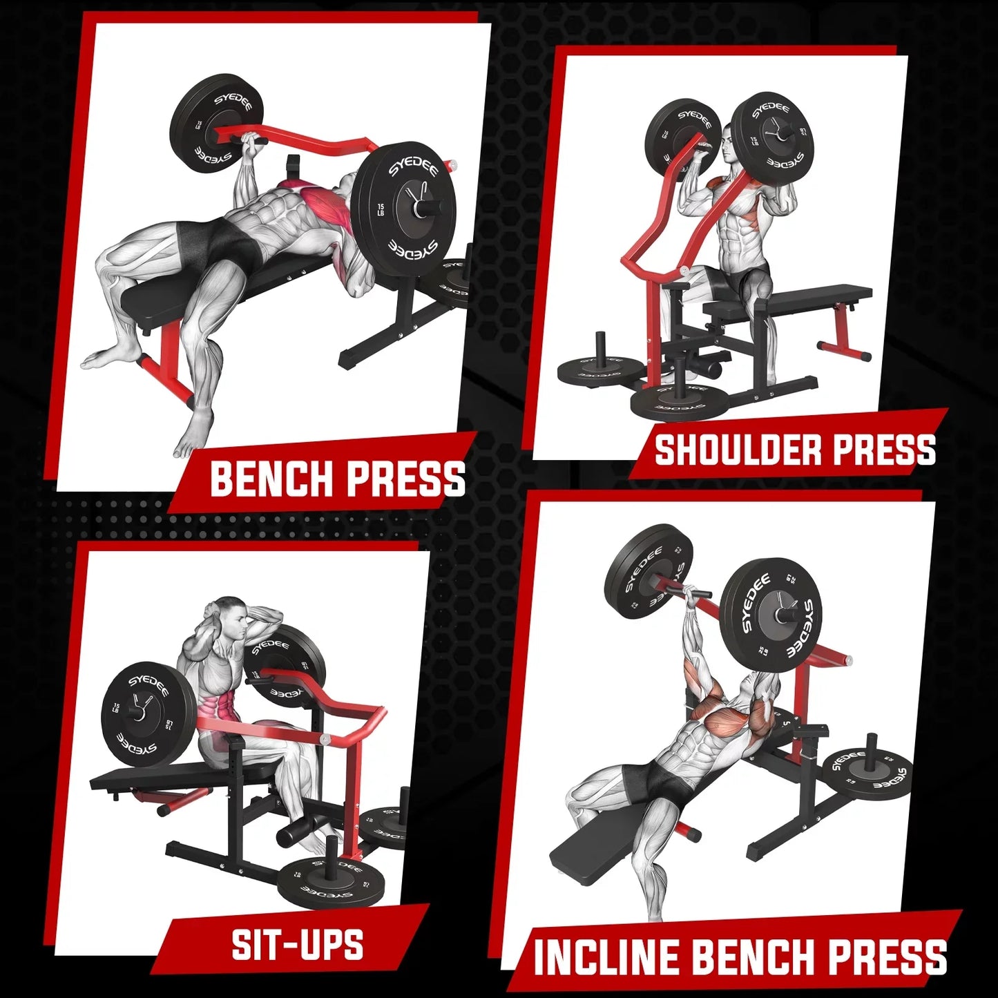 Chest Press Machine with Adjustable Bench