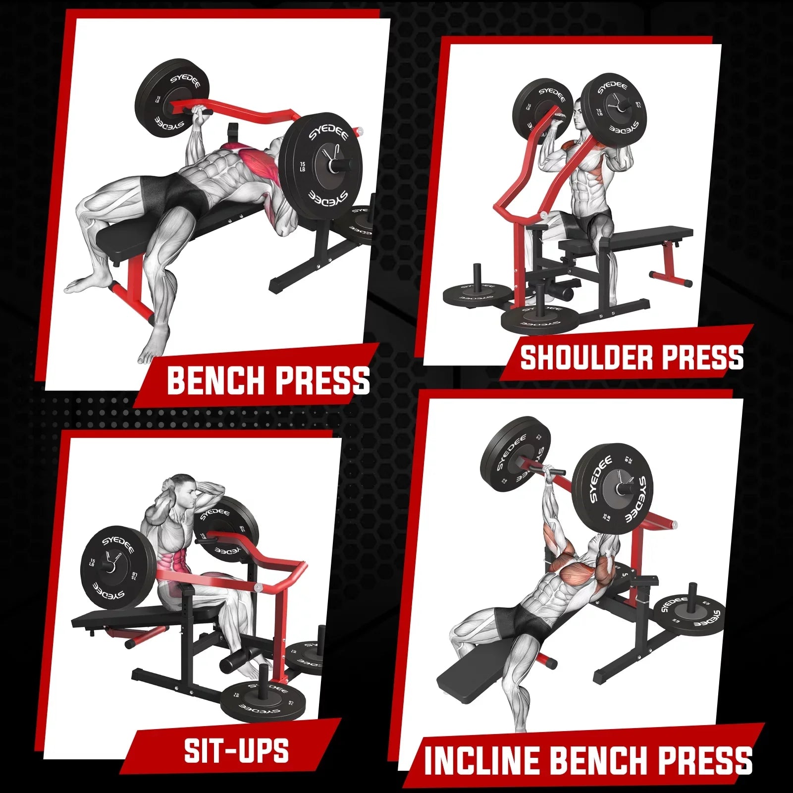 Chest Press Machine with Adjustable Bench