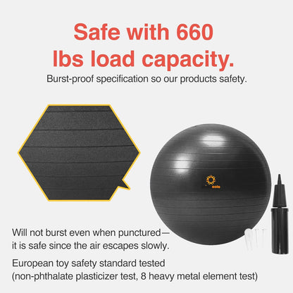 Exercise Ball Balance & Stability