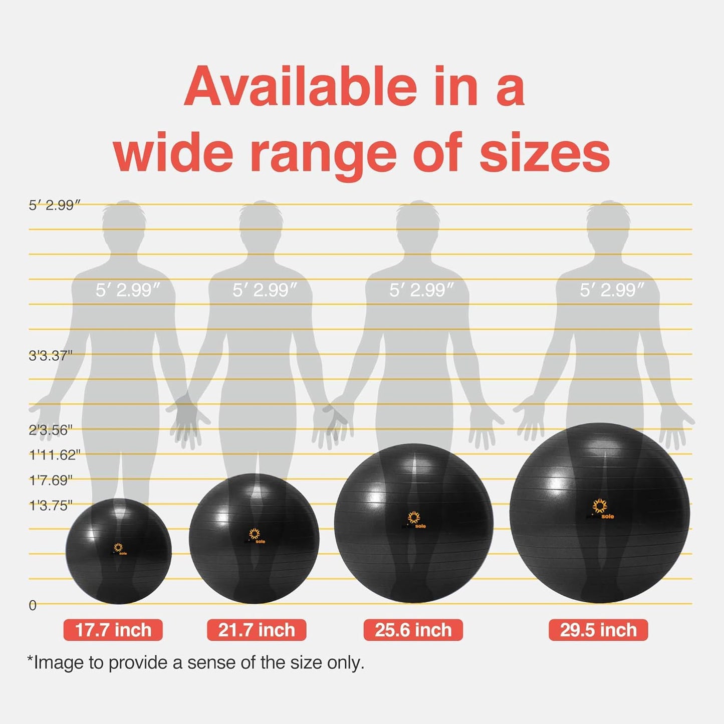 Exercise Ball Balance & Stability