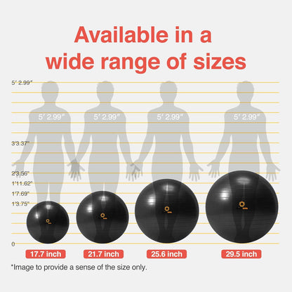 Exercise Ball Balance & Stability